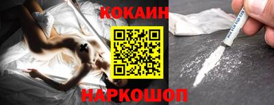 Альфа ПВП Кандалакша