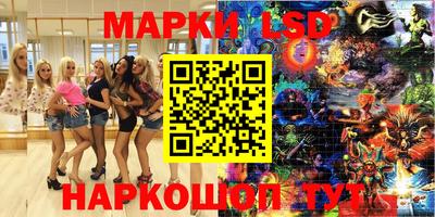 Альфа ПВП Кандалакша