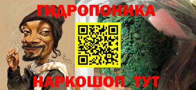 Альфа ПВП Кандалакша