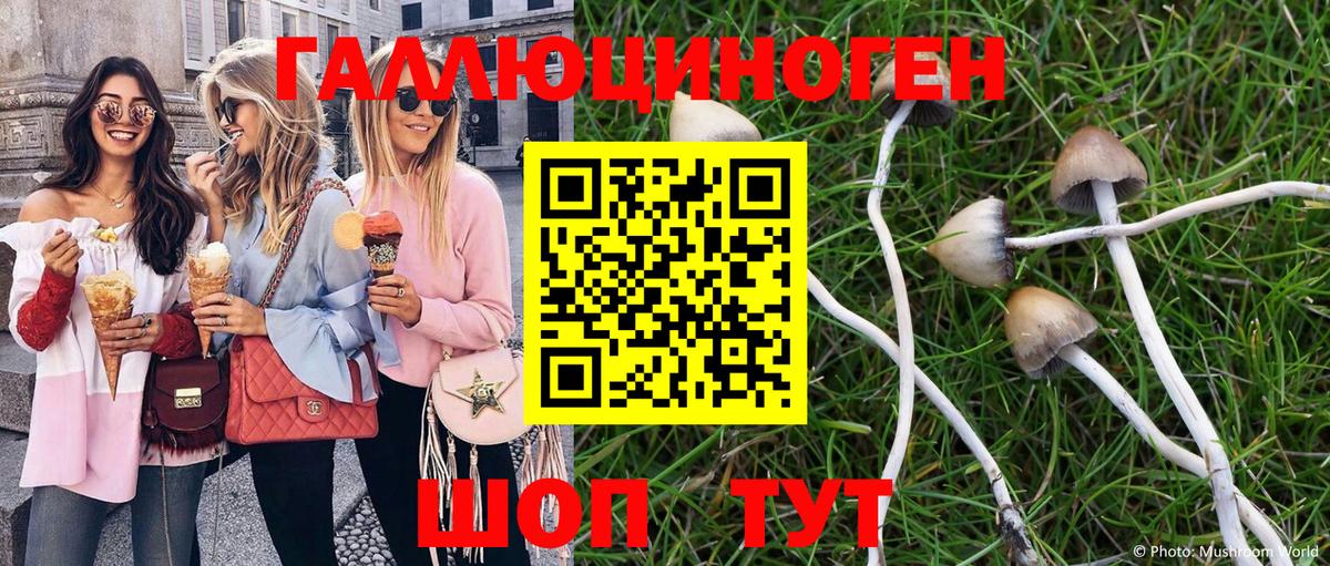 Псилоцибиновые грибы мицелий  Вход с VPN  Псилоцибиновые грибы Psilocybe  Новокубанск 
